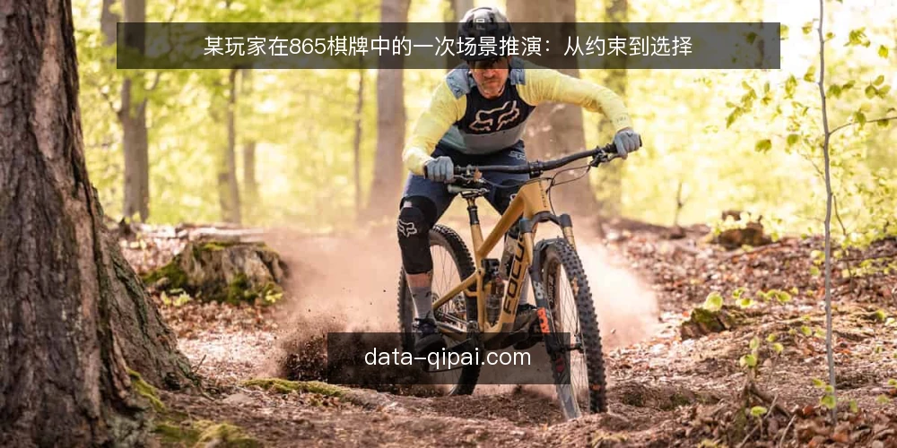 某玩家在865棋牌中的一次场景推演：从约束到选择 — 场景设定：一个普通的周末夜晚 配图